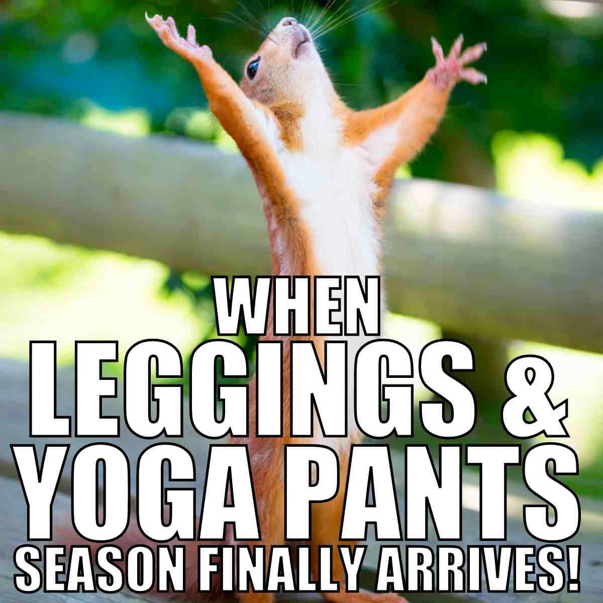 yoga pants meme yoga pants meme