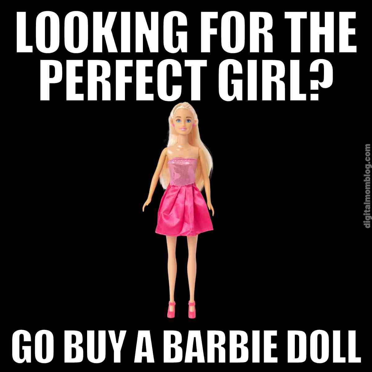 barbie doll meme looking for the perfect girl go buy a barbie doll