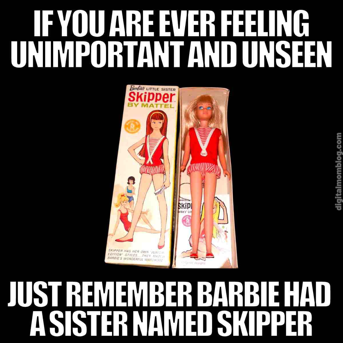 barbie meme funny if you ever feel unimportant and unseen remember that barbie had a sister named skipper