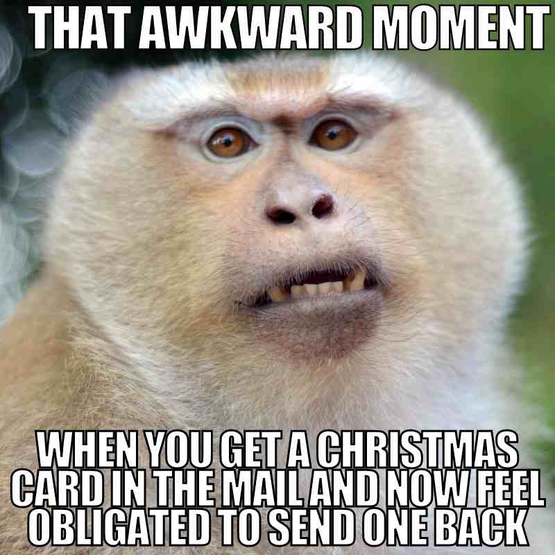 christmas card meme funny that awkward moment when you get a christmas card in the mail and now feel obligated to send one back