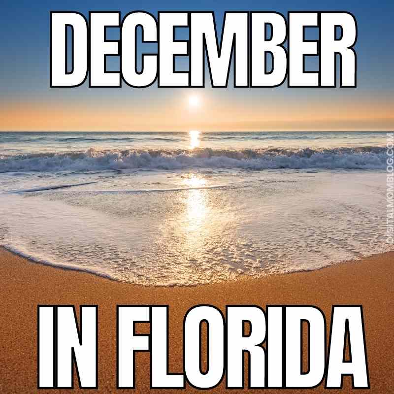 december in florida meme december in florida meme