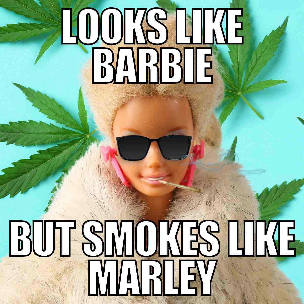 funny barbie meme looks like barbie but smokes like marley