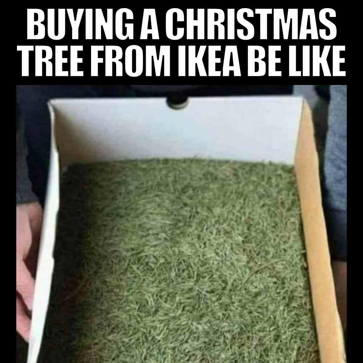 ikea christmas tree meme buying a christmas tree from ikea be like