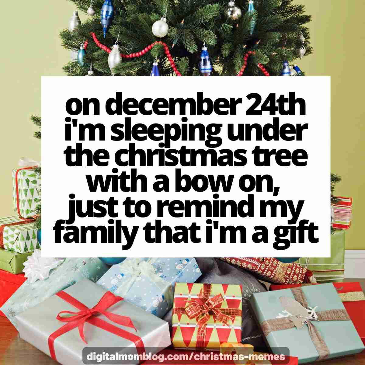 im a christmas gift meme on december 24th i'm sleeping under the christmas tree with a bow on, just to remind my family that i'm a gift