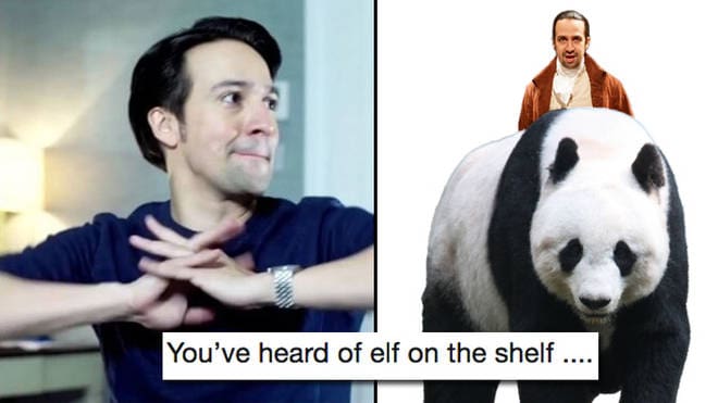 lin manual miranda on a panda meme lin manual miranda on a panda meme