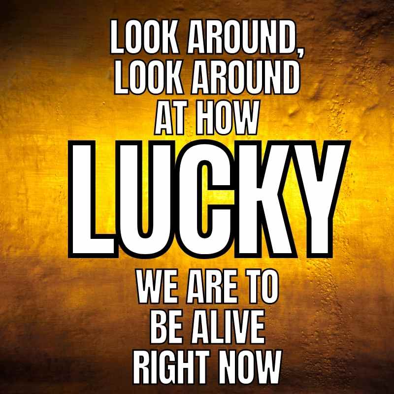 look around hamilton quote meme look around hamilton quote meme