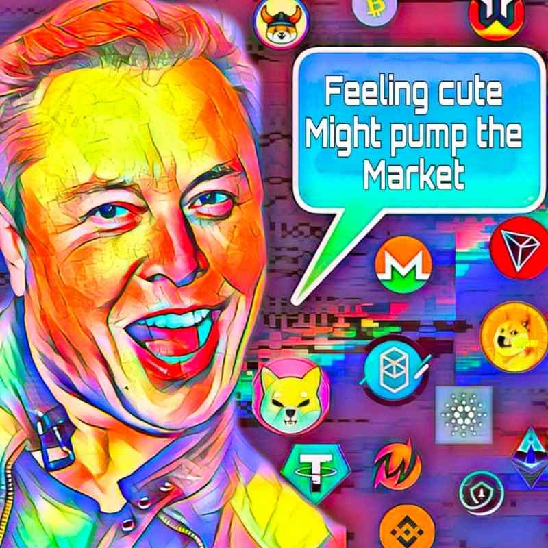 elon musk meme person of the year elon musk meme person of the year