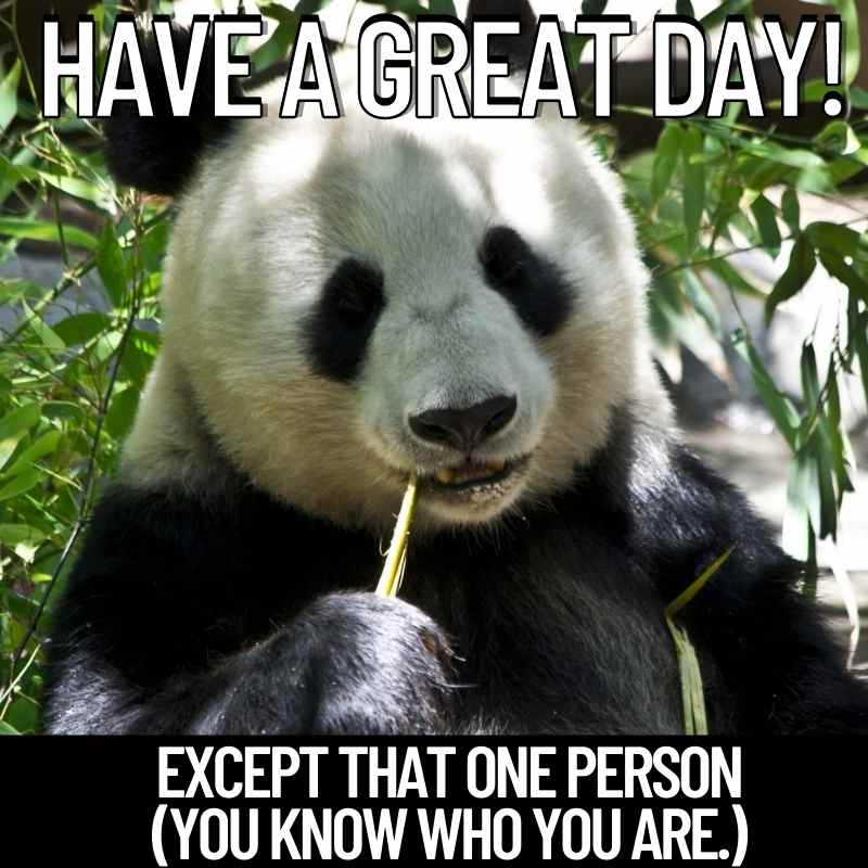 have a great day meme funny have a great day meme funny