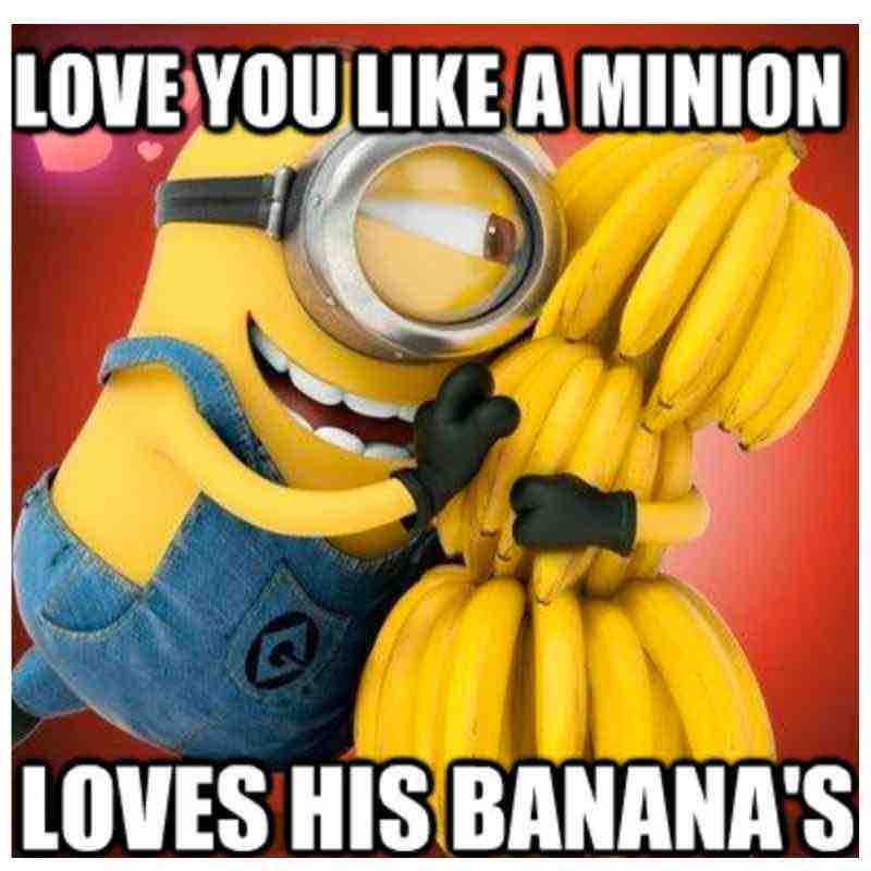 banana minion meme Meme of a joyful minion hugging a massive bunch of bananas with the caption 'LOVE YOU LIKE A MINION LOVES HIS BANANA'S', showcasing classic minion humor and affection for bananas.