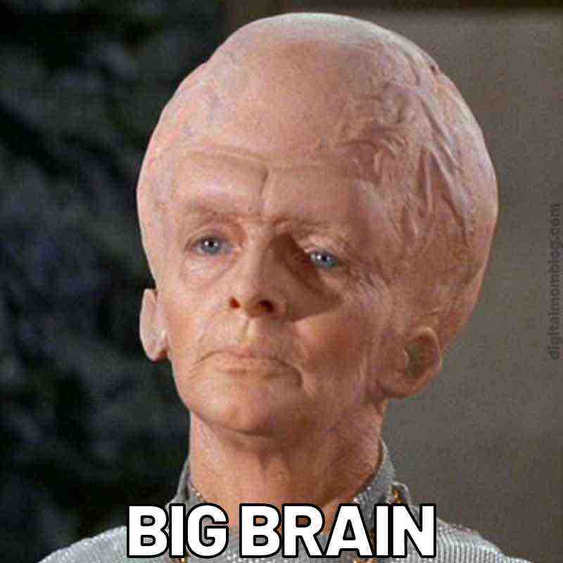 big brain alien meme Meme of a character with an oversized head labeled 'BIG BRAIN,' humorously representing someone with immense intelligence or galaxysized thoughts.