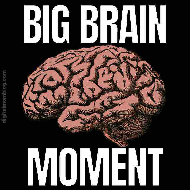 big brain moment Meme humorously showcasing a detailed brain with the words 'BIG BRAIN MOMENT,' perfect for those geniuslevel epiphanies.
