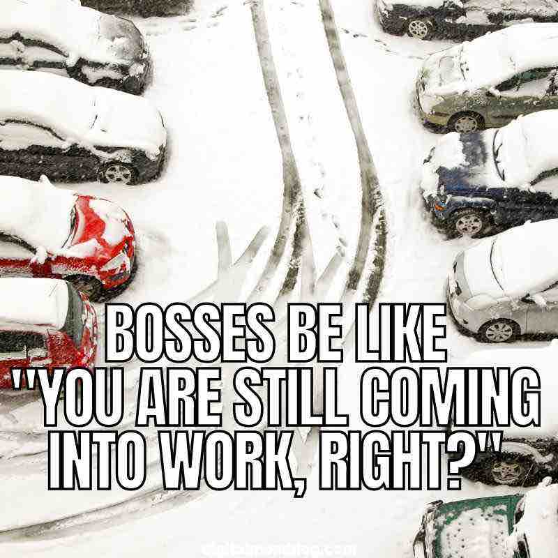 boss snowing meme Snowcovered parking lot meme with text 'Bosses be like: You are still coming into work, right?' highlighting the humorous reality of commuting in winter.