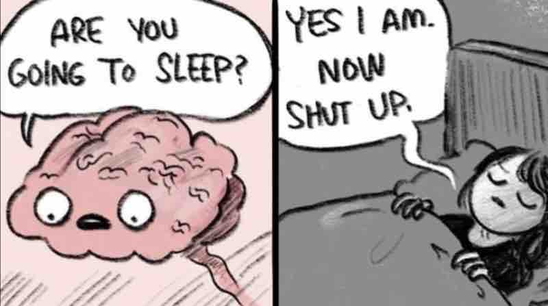 brain sleep meme Meme of a brain asking 'Are you going to sleep?' and a person in bed responding, 'Yes I am. Now shut up.' Typical latenight struggle with thoughts keeping you awake.