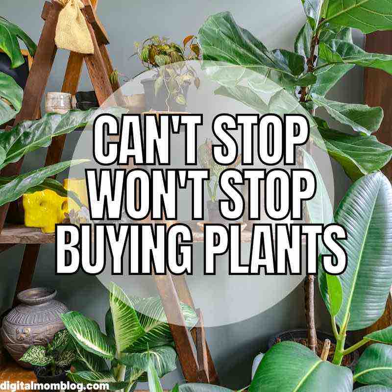buy plants meme can't stop wont stop buying plants meme
