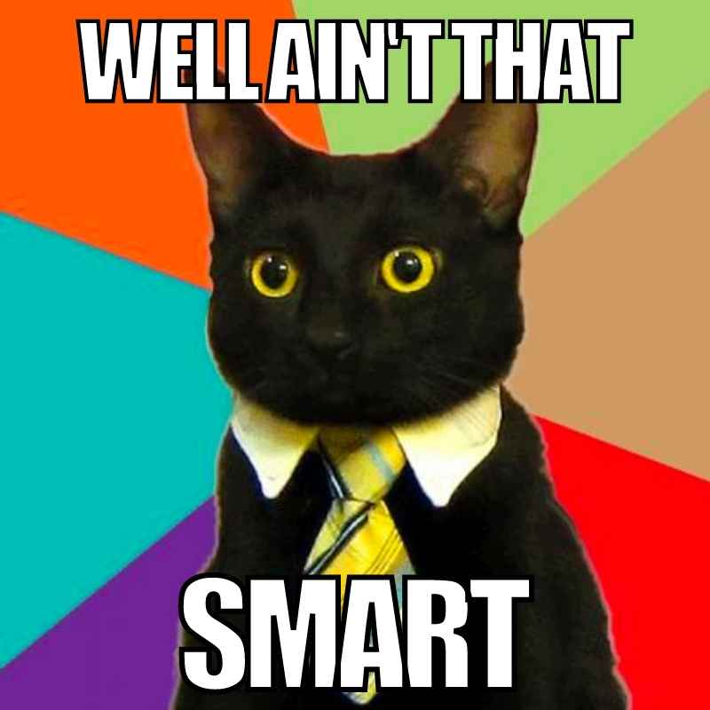 cat smart meme cat smart meme
