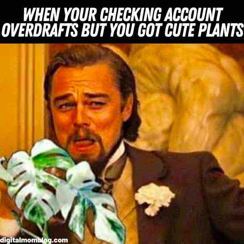 cute plants meme cute plants meme