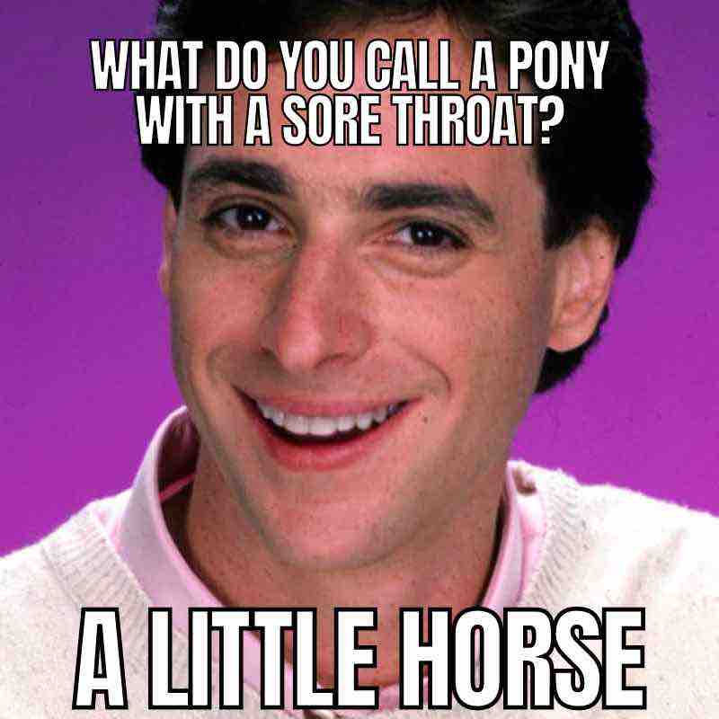 dad joke meme bob saget Dad meme featuring a man smiling with text: 'What do you call a pony with a sore throat? A little horse.' Classic dad joke humor.