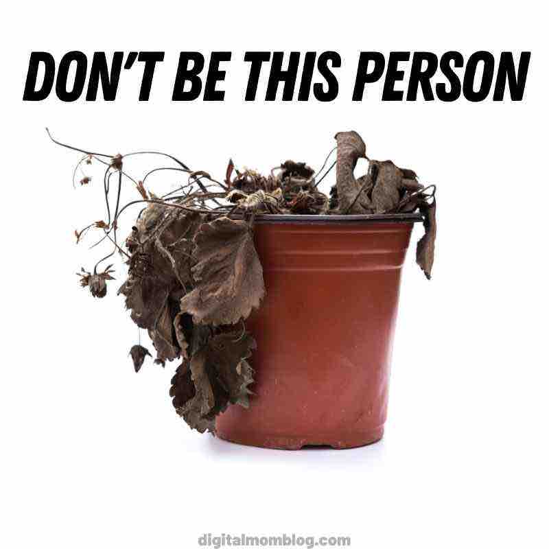 dead plants meme dead plants meme