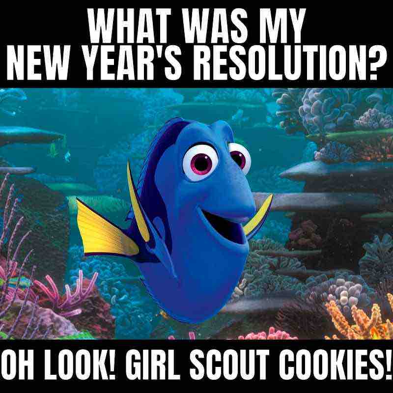 dory girl scout cookie meme new years resolutions Meme featuring a blue fish from an animated movie, pondering a forgotten New Year's resolution with the humorous punchline, 'Oh look! Girl Scout cookies!'