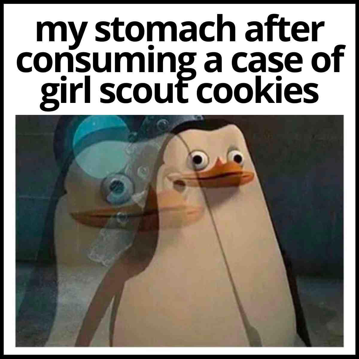 eating girl scout cookie meme eating girl scout cookie meme
