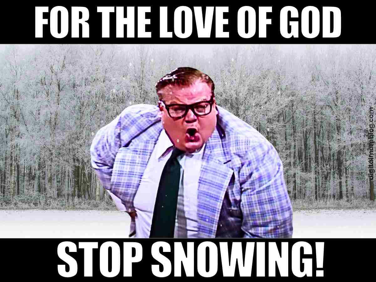 for the love of god stop snowing meme Hilarious meme with a man in a plaid suit passionately shouting, 'For the love of God, stop snowing!' against a snowy forest backdrop.