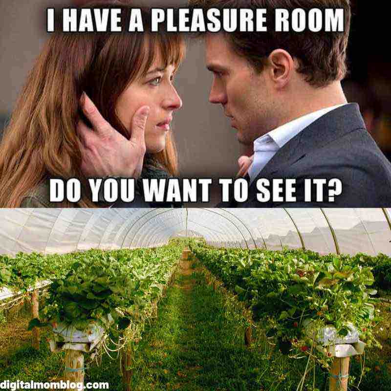 funny plant meme funny plant meme