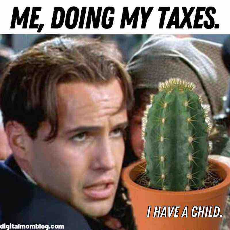 funny succulent meme Funny meme featuring a worried man claiming doing taxes is like declaring a potted cactus as his child, capturing the chaos of tax season humorously.