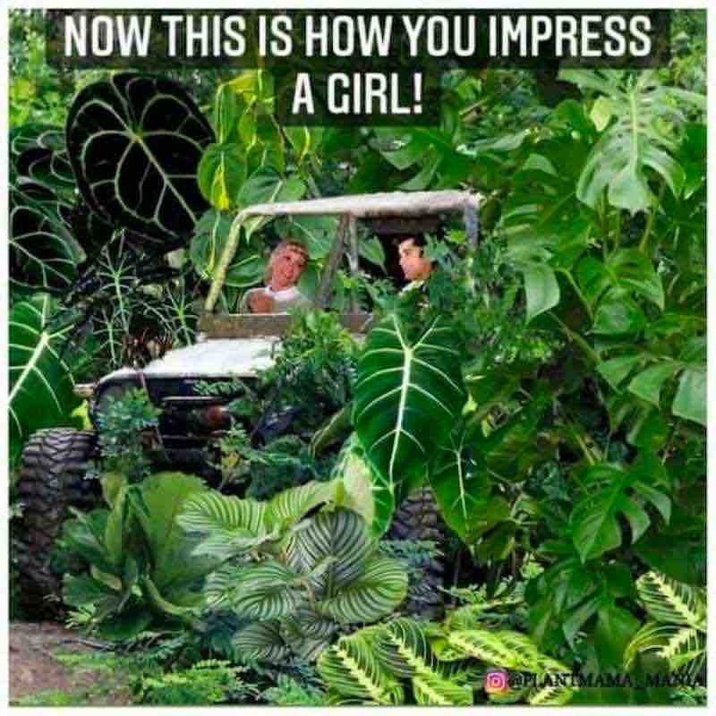 funny too many plants meme funny too many plants meme