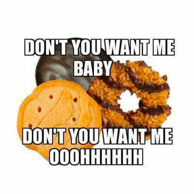 girl scout cookie addiction meme girl scout cookie addiction meme