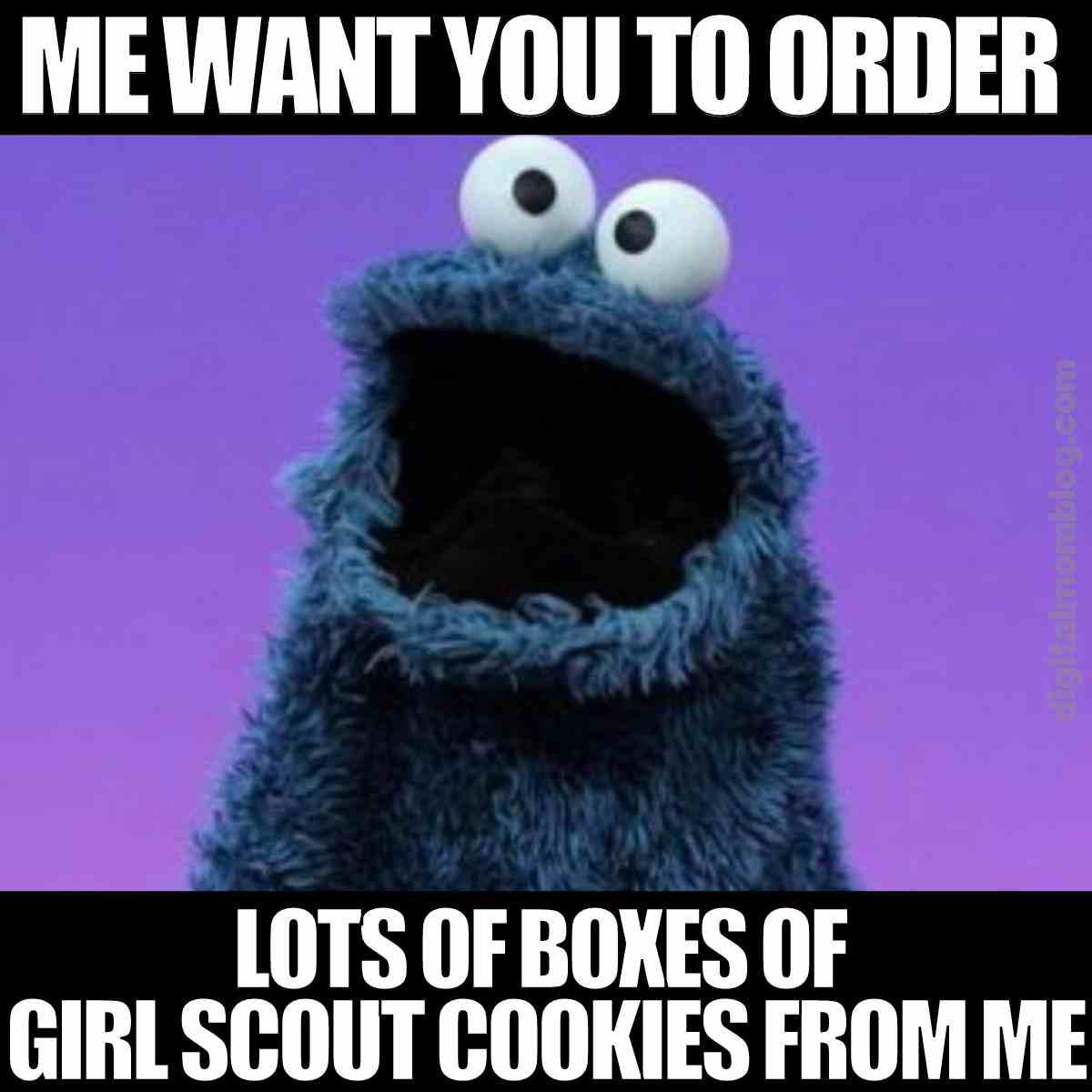 girl scout cookie sale meme girl scout cookie sale meme