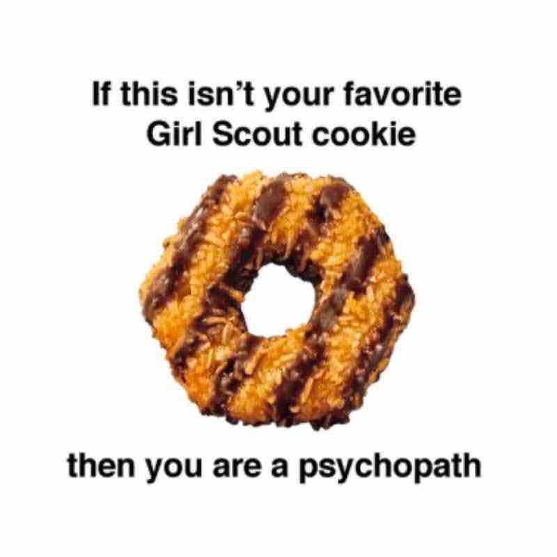 girl scout cookie samoas meme girl scout cookie samoas meme