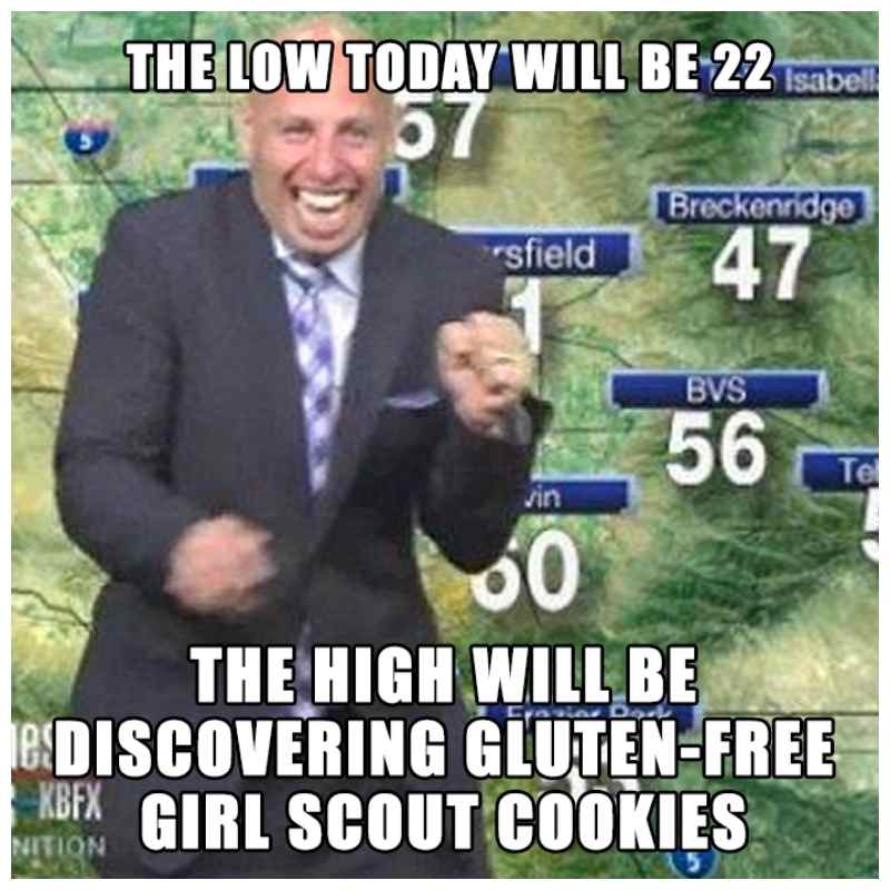 gluten free girl scout cookies toffee tastic gluten free girl scout cookies toffee tastic