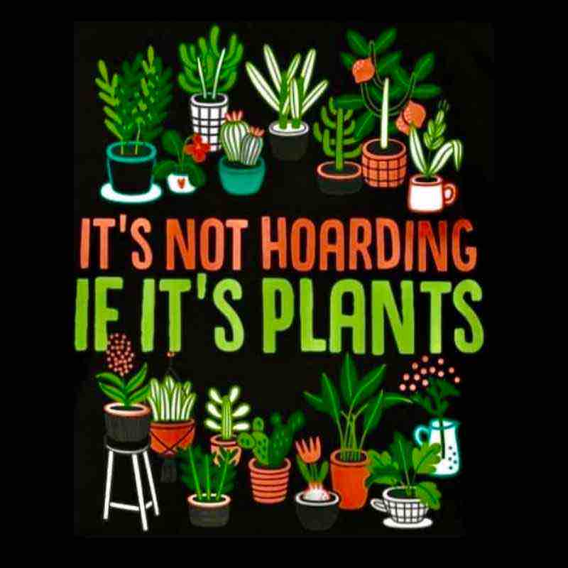 hoarding plants meme hoarding plants meme
