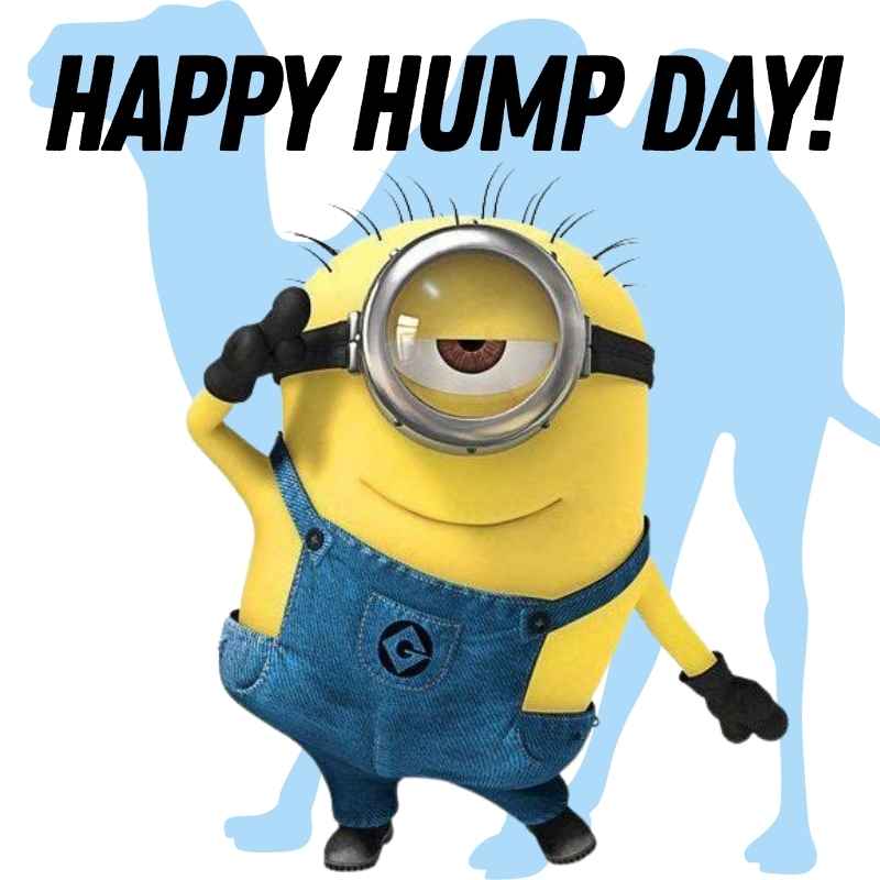 hump day minion meme A cheerful Minion saluting with the text 'Happy Hump Day!' and a camel silhouette in the background, capturing the midweek spirit of hump day memes.