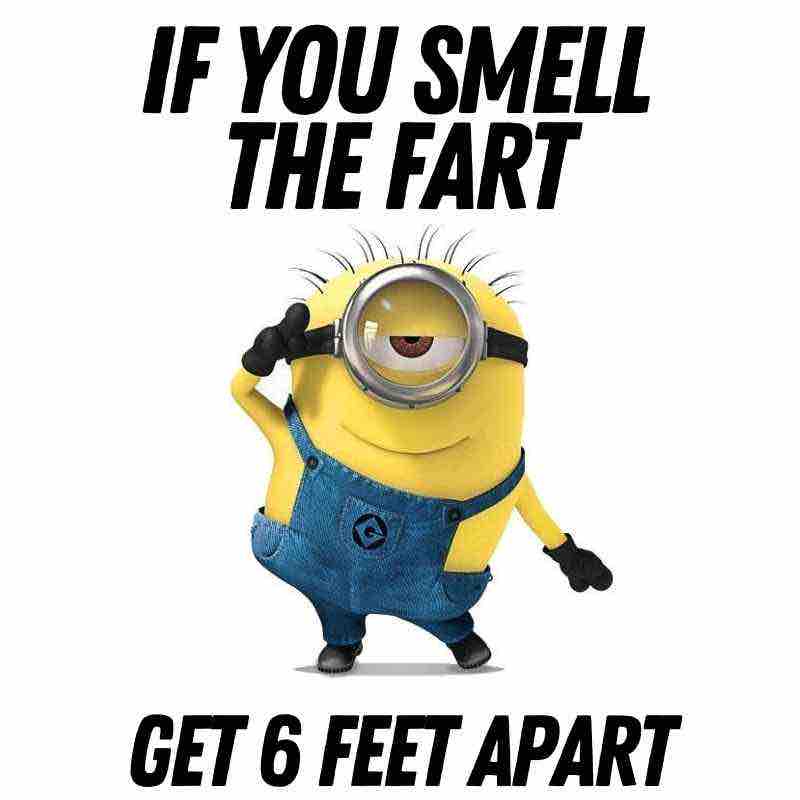 minion fart meme A cheeky Minion meme showing a goggled Minion holding its nose with the text: 'If you smell the fart, get 6 feet apart.' A humorous reminder of social distancing with a twist!