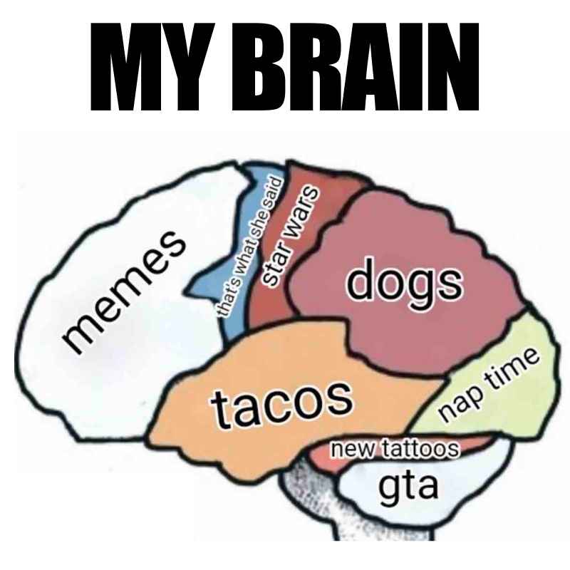 my brain meme Humorous meme titled 'My Brain' with a diagram showing brain sections labeled 'memes,' 'tacos,' 'dogs,' 'Star Wars,' 'that's what she said,' 'GTA,' 'new tattoos,' and 'nap time.'