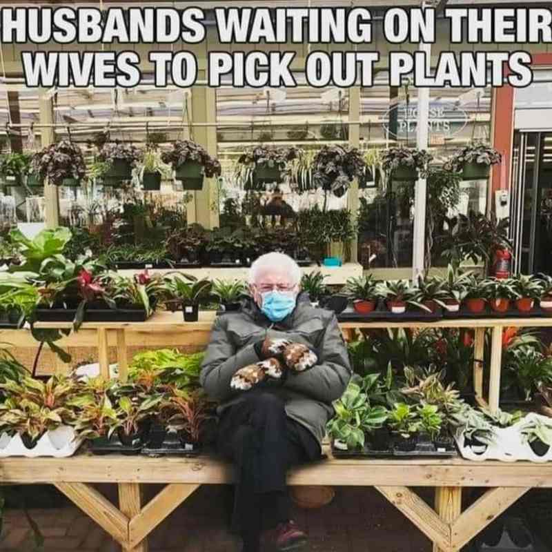 picking out plants meme picking out plants meme