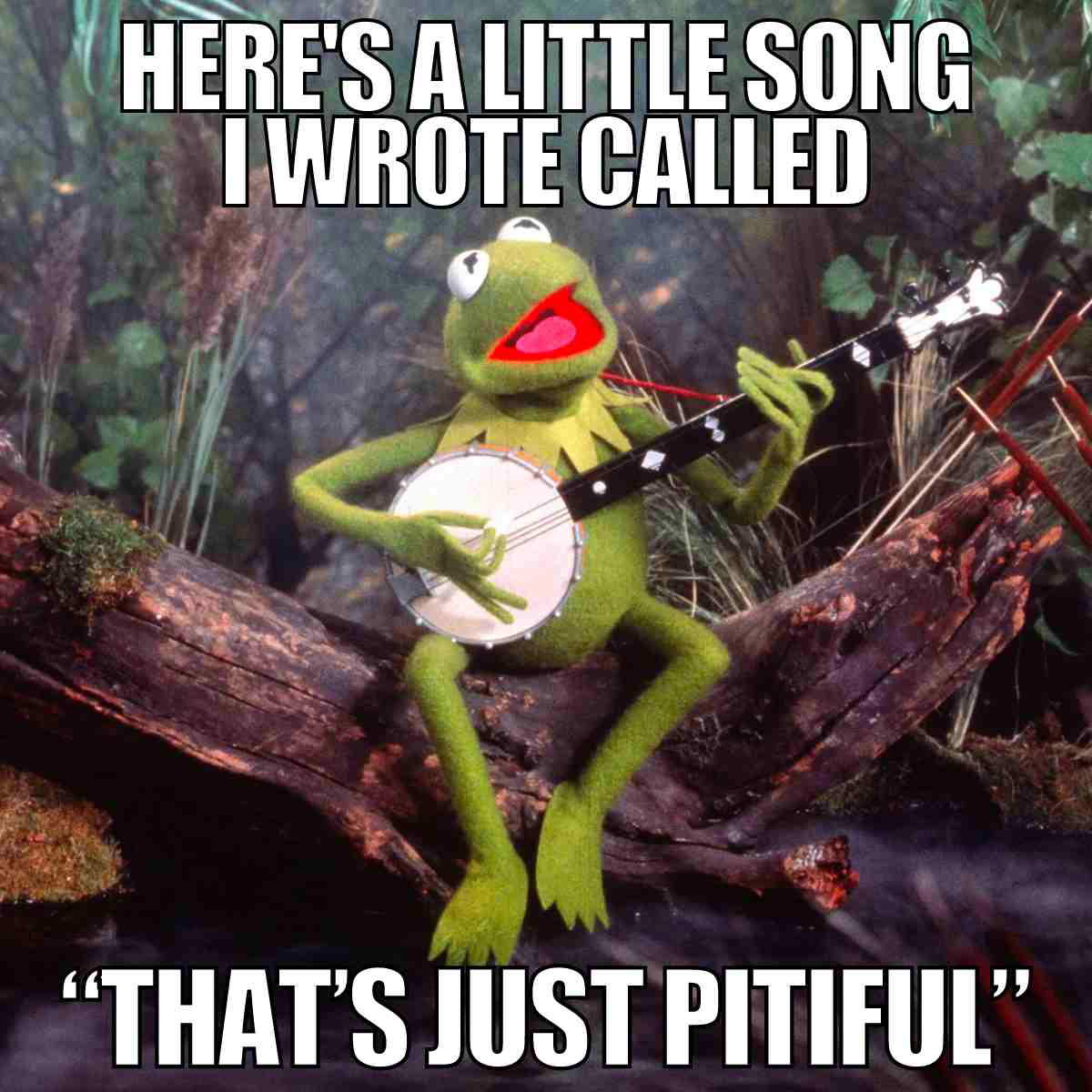 pitiful meme funny pitiful meme funny