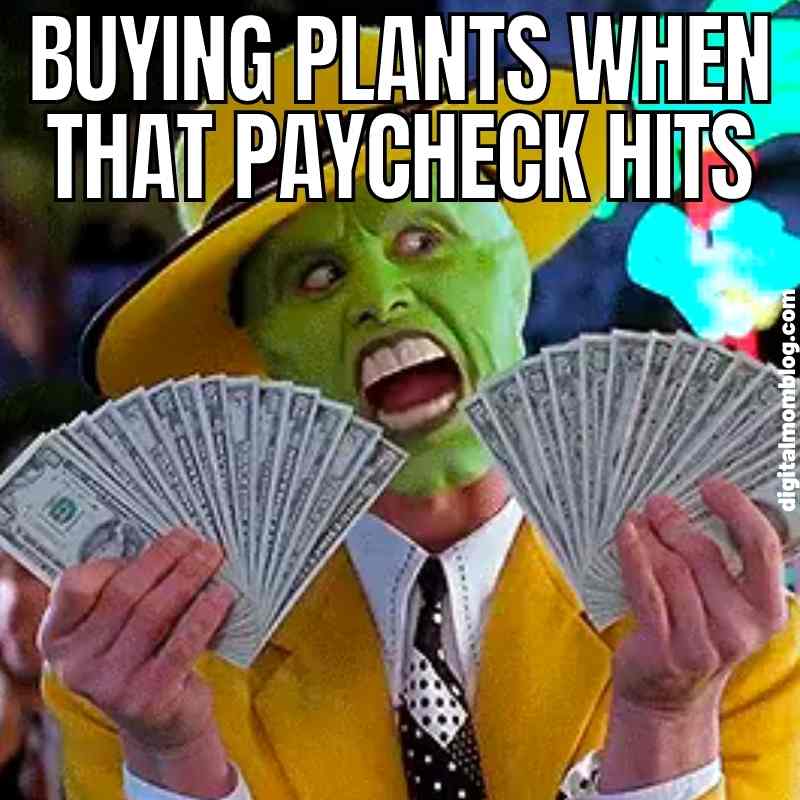 plant jokes meme plant jokes meme