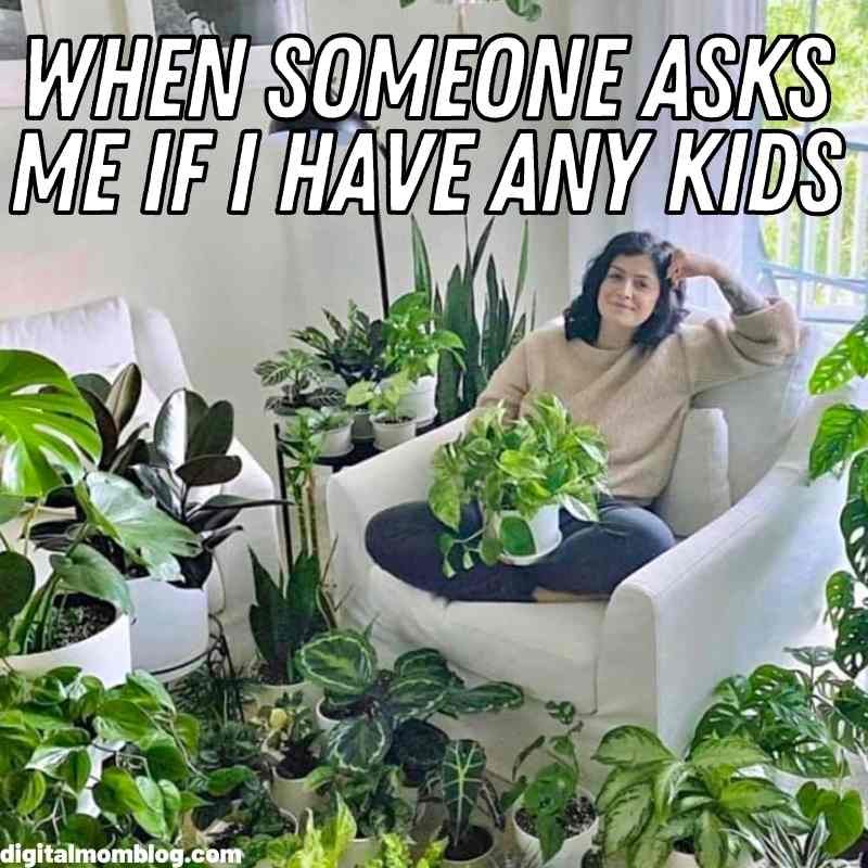 plant kid memes plant kid memes