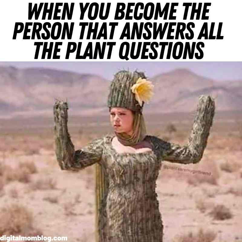 plant lady meme plant lady meme