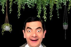 funny plant memes