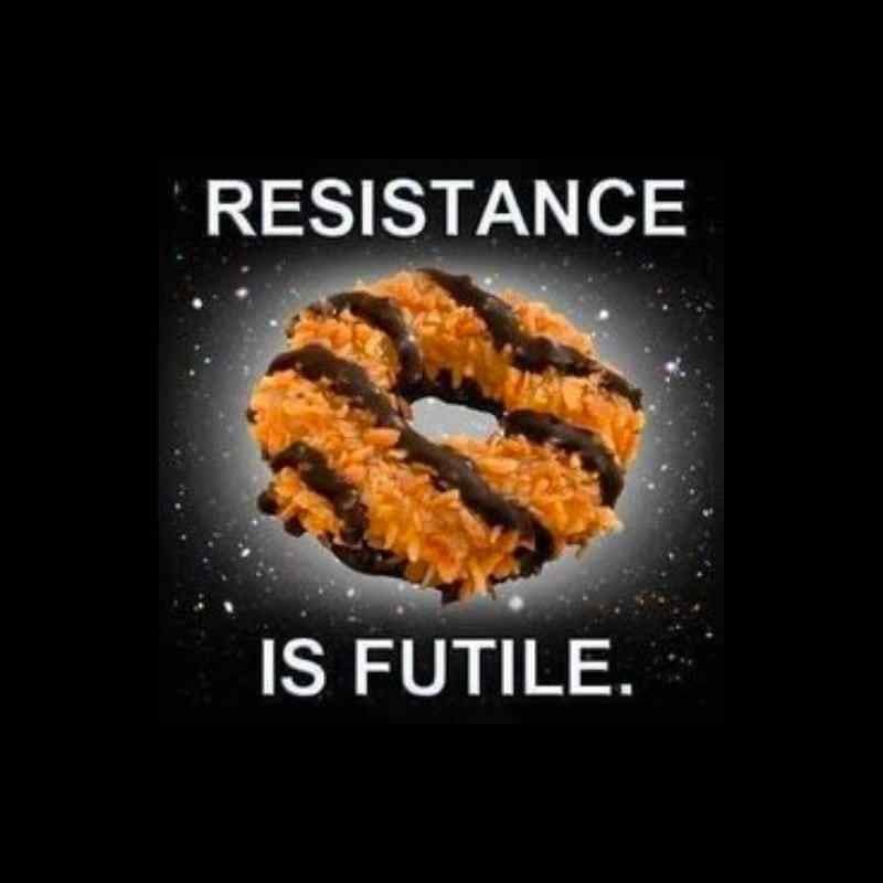 samoas meme samoas meme