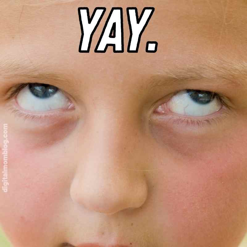 sarcastic yay meme sarcastic yay meme