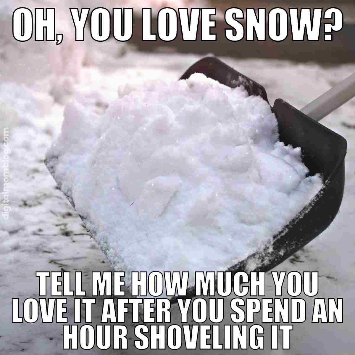 shoveling snow meme Meme showing a snowfilled shovel with the text "Oh, you love snow? Tell me how much you love it after you spend an hour shoveling it," humorously questioning snow enthusiasts.
