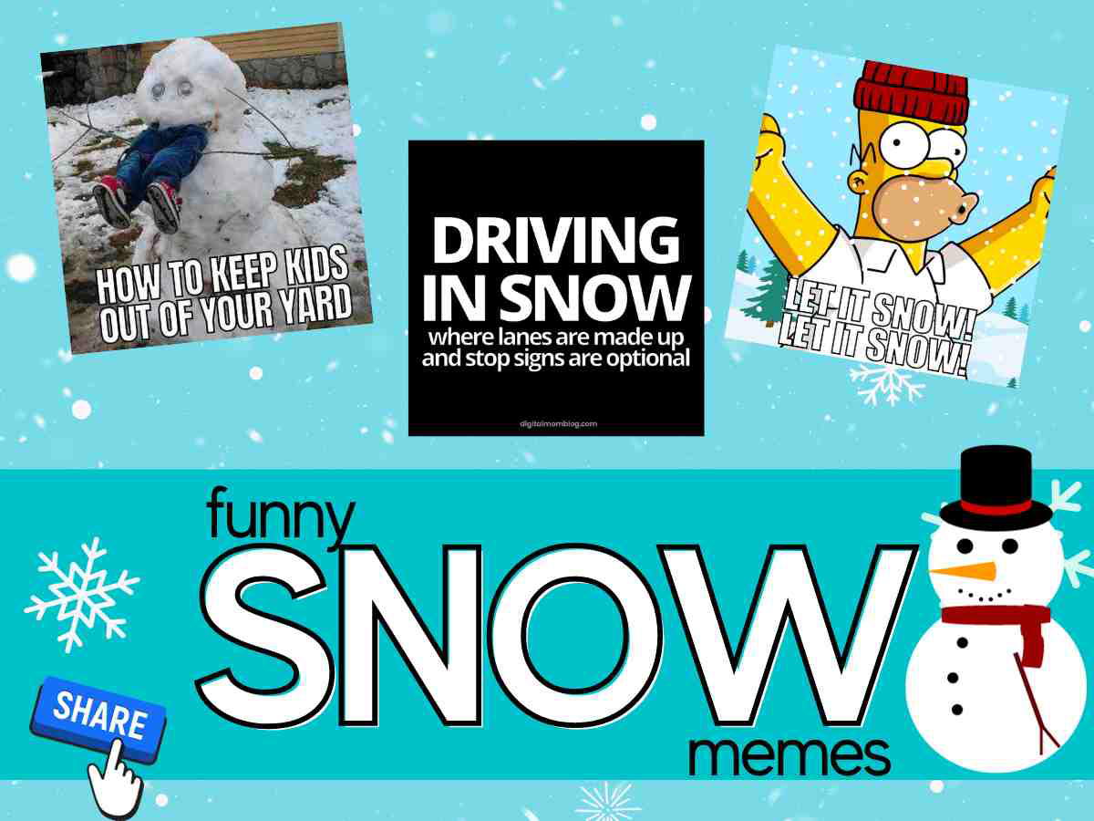 snow memes 1 A collage of humorous snow memes includes a snowman kidnapping prevention strategy, guidance on chaotic driving in snow, and a familiar cartoon character joyfully suggesting to 'let it snow.'