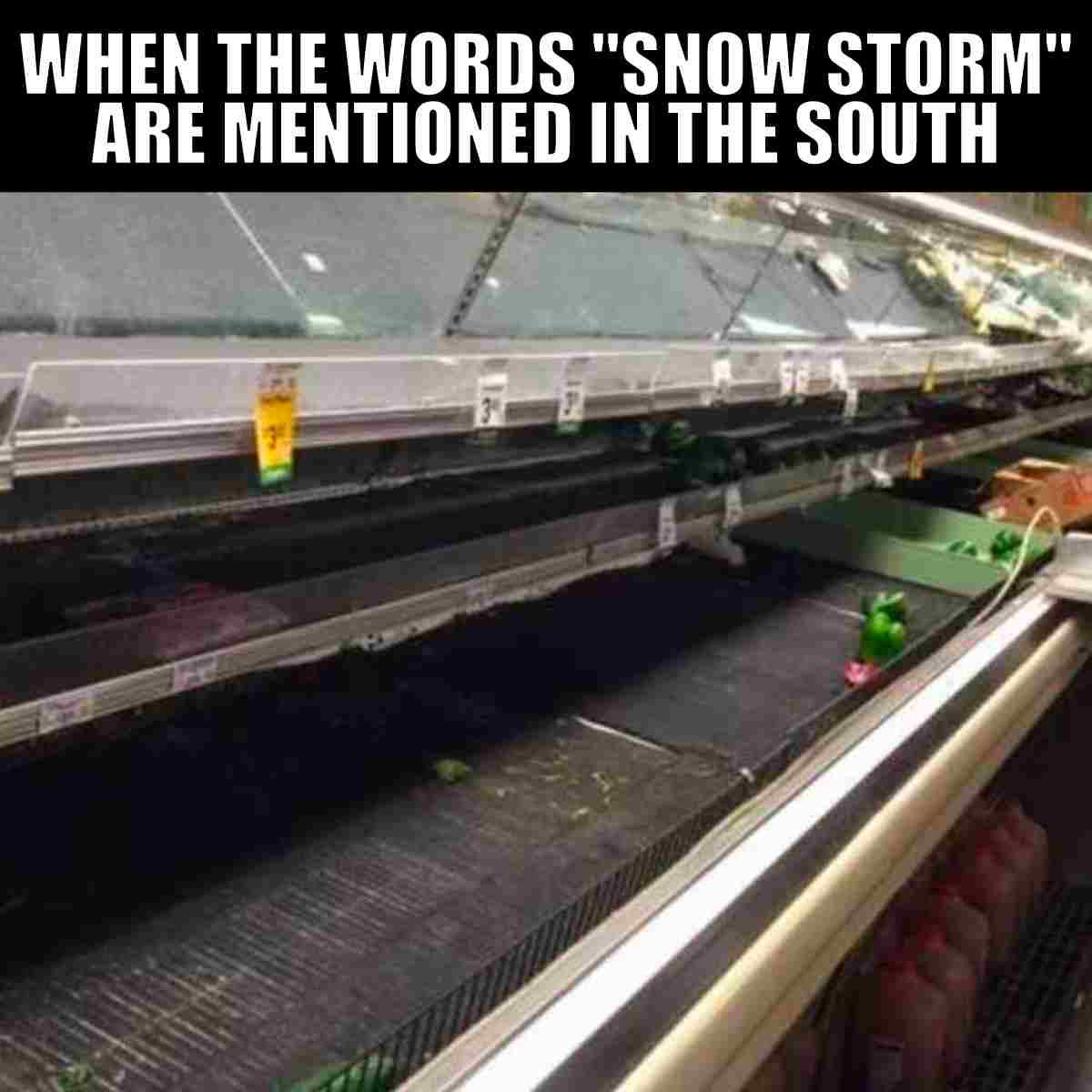 snow storm meme Meme showing empty grocery shelves with the caption 'When the words "snow storm" are mentioned in the South,' highlighting the humorous panicbuying reaction to snow in Southern regions.