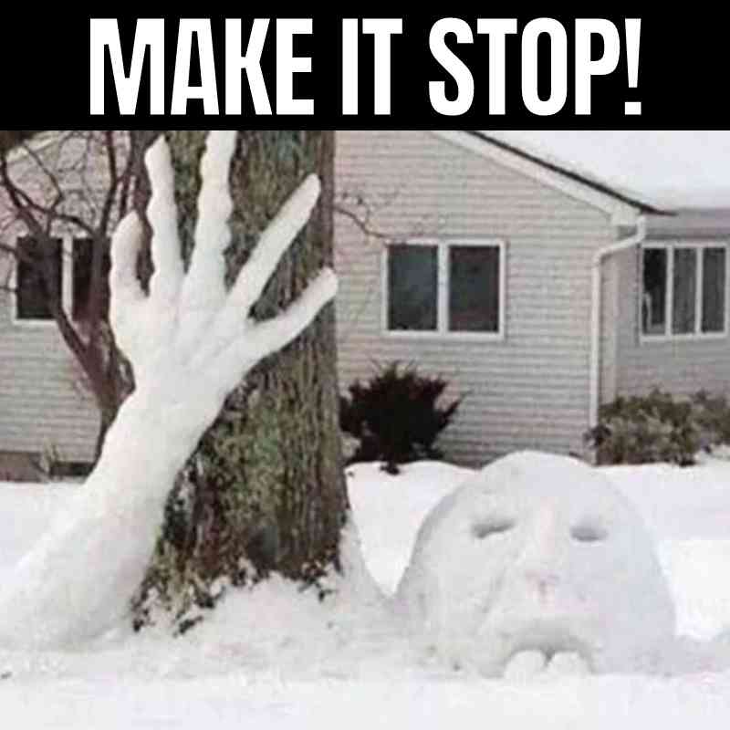 stop snowing meme Snow meme with a humorous image of a snow sculpture resembling a desperate face and hand reaching out from the ground, with the text 'MAKE IT STOP!' indicating winter fatigue.