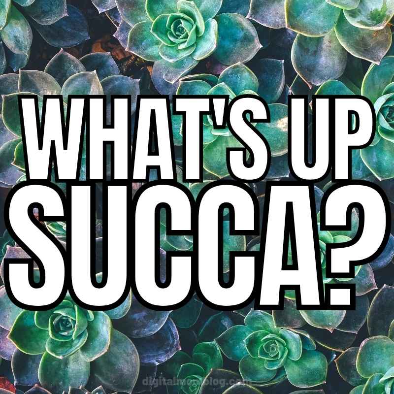 succa meme succa meme