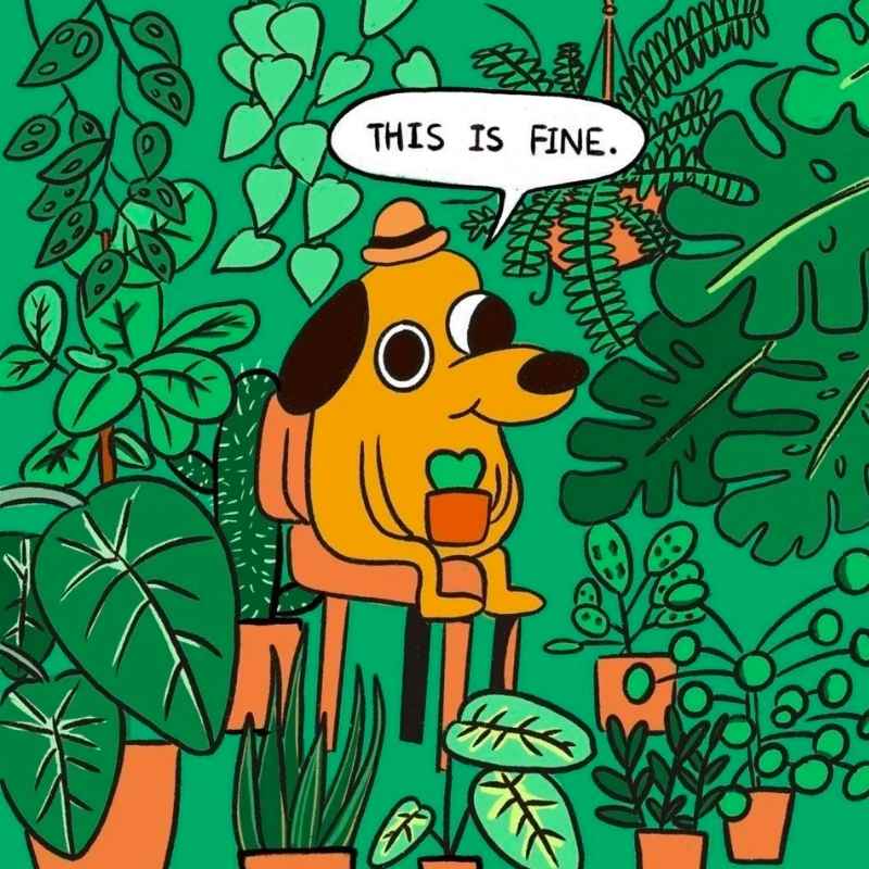 too many plants its fine meme too many plants its fine meme